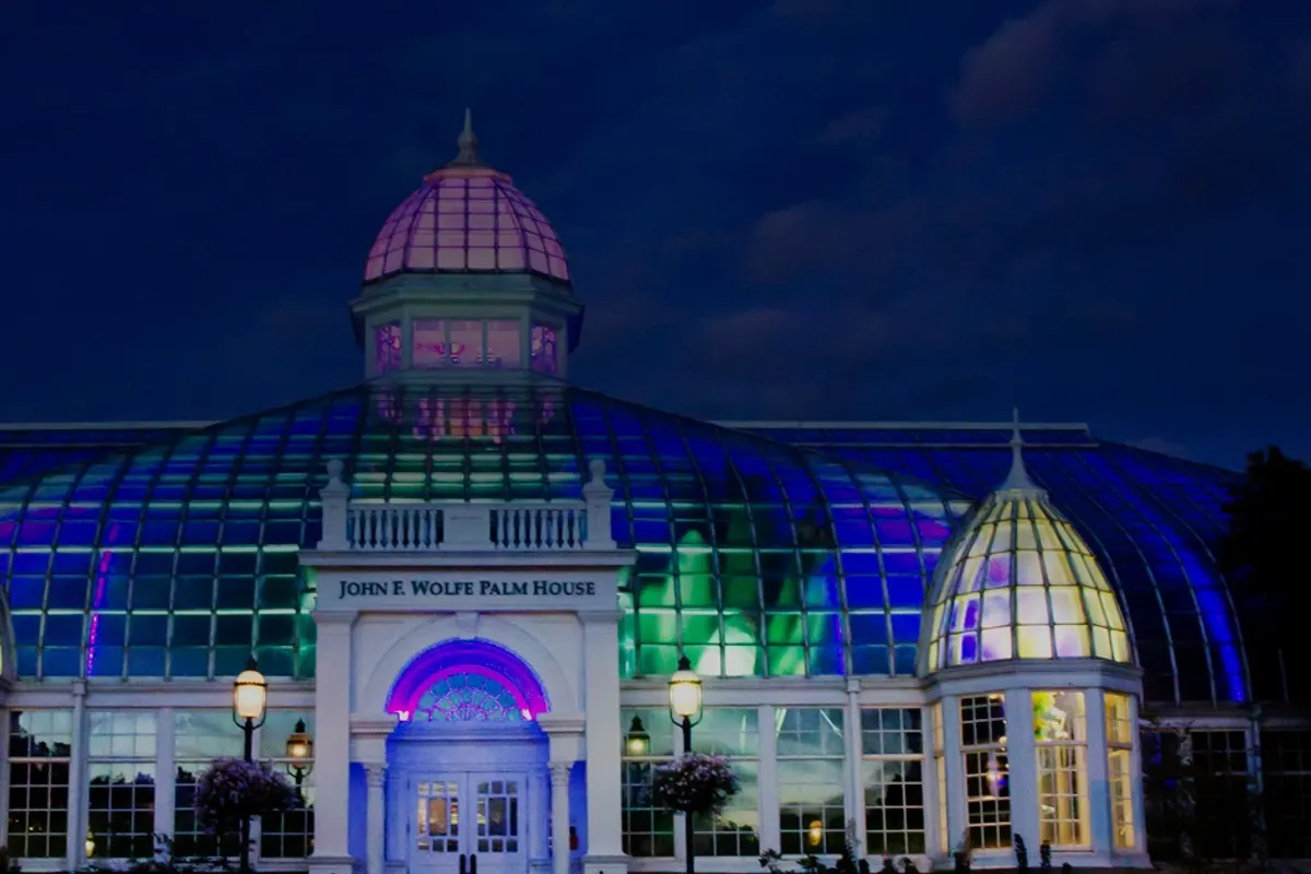 Palm House glasshouse lit in purple and green at night